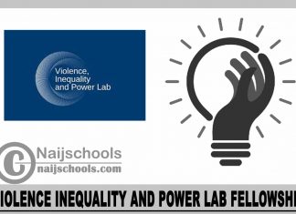 Violence Inequality and Power Lab Fellowship