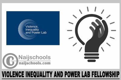 Violence Inequality and Power Lab Fellowship