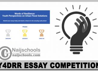 Y4DRR Essay Competition
