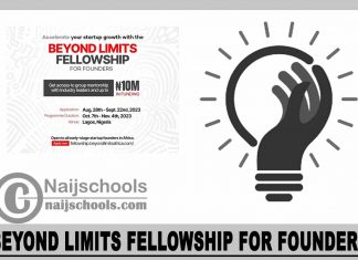 Beyond Limits Fellowship 2023 for Founders