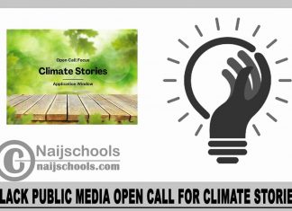 Black Public Media Open Call for Climate Stories 2024