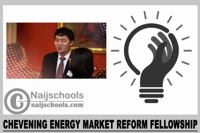 Chevening Energy Market Reform Fellowship 2024