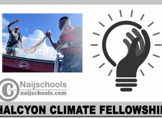 Halcyon Climate Fellowship 2024