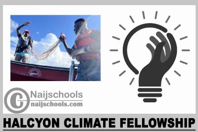 Halcyon Climate Fellowship 2024