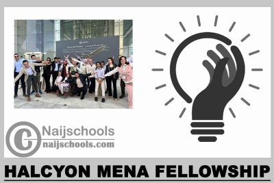 Halcyon MENA Fellowship 2024