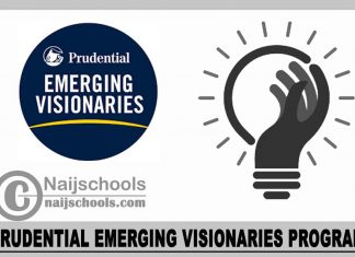 Prudential Emerging Visionaries Program