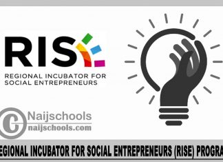 Regional Incubator for Social Entrepreneurs (RISE) Program