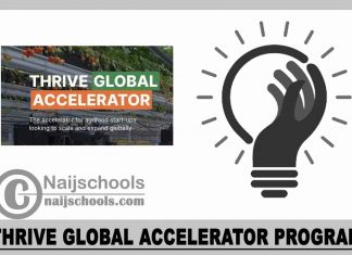 THRIVE Global Accelerator Program 2024