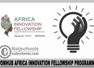 WomHub Africa Innovation Fellowship Programme 2023