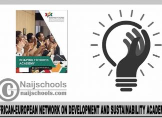 African-European Network on Development and Sustainability Academy 2024