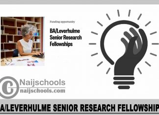 BA/Leverhulme Senior Research Fellowships 2024