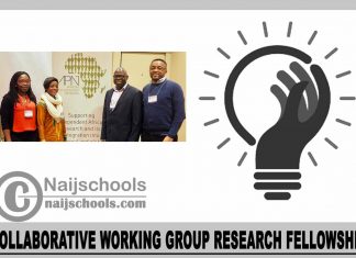Collaborative Working Group Research Fellowship