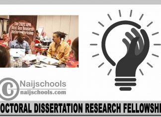 Doctoral Dissertation Research Fellowship