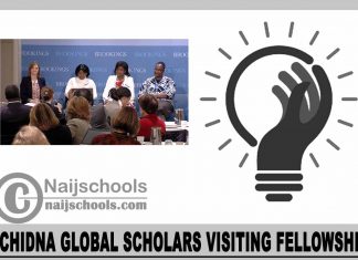 Echidna Global Scholars Visiting Fellowship 2024