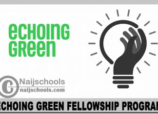 Echoing Green Fellowship Program 2024