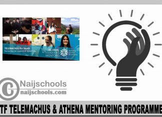 GTF Telemachus & Athena Mentoring Programmes 2024