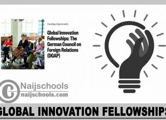 Global Innovation Fellowships 2024
