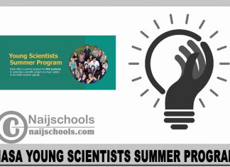 IIASA Young Scientists Summer Program 2024