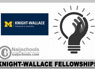 Knight-Wallace Fellowships 2024