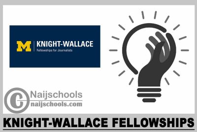 Knight-Wallace Fellowships 2024