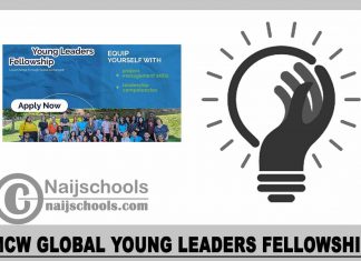 MCW Global Young Leaders Fellowship 2024