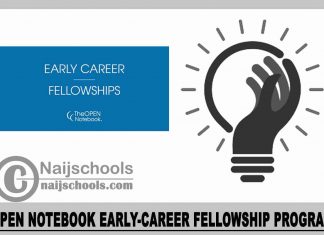 Open Notebook Early-Career Fellowship Program 2024