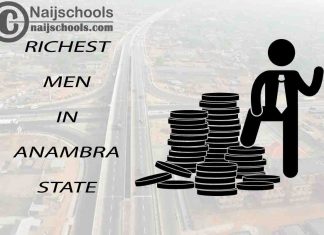 Top 13 Richest Men in Anambra State Nigeria 2023/2024