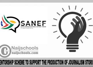 SANEF Mentorship scheme
