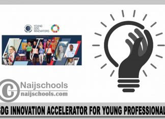 SDG Innovation Accelerator for Young Professionals 2024
