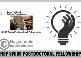 SNSF Swiss Postdoctoral Fellowships 2023