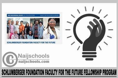 Schlumberger Foundation Faculty for the Future Fellowship Program 2024