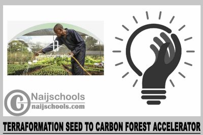 Terraformation Seed to Carbon Forest Accelerator 2024