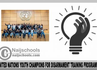 United Nations Youth Champions for Disarmament Training Programme 2023