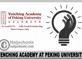 Yenching Academy at Peking University 2024