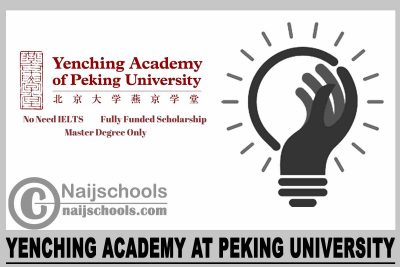 Yenching Academy at Peking University 2024