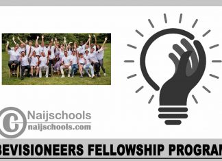 beVisioneers Fellowship Program 2024