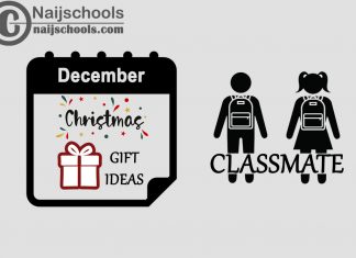 15 Christmas 2023 Gifts to Buy for Your Classmate