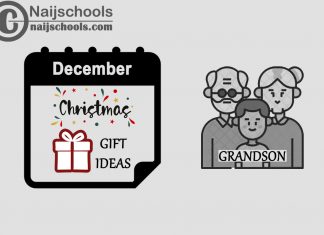 15 Christmas 2023 Gifts to Buy for Your Grandson