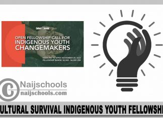 Cultural Survival Indigenous Youth Fellowship 2024