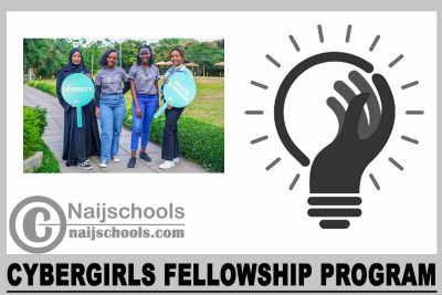 CyberGirls Fellowship Program