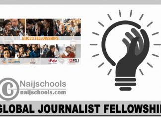 Global Journalist Fellowship 2024
