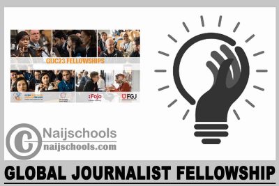 Global Journalist Fellowship 2024