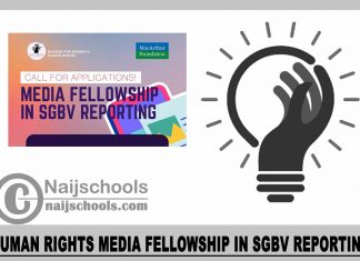 Human Rights Media Fellowship in SGBV Reporting 2023