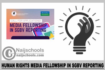 Human Rights Media Fellowship in SGBV Reporting 2023