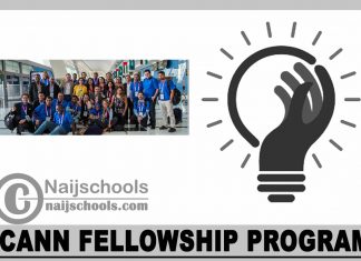 ICANN Fellowship Program 2024