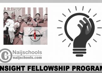 Insight Fellowship Program 2024