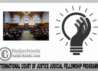 International Court of Justice Judicial Fellowship Programme 2024