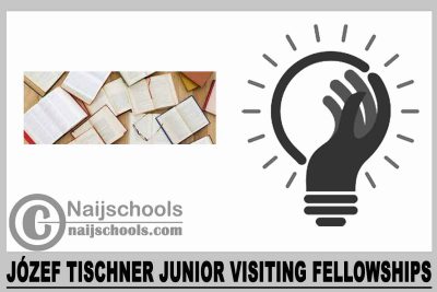 Józef Tischner Junior Visiting Fellowships 2024