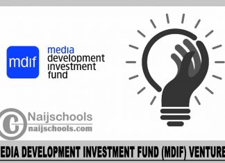 Media Development Investment Fund (MDIF) Ventures 2024