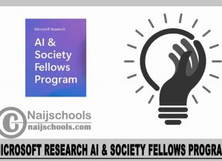Microsoft Research AI & Society Fellows Program 2024